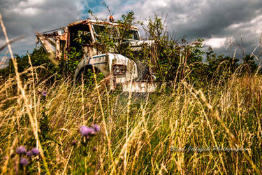 Overgrown Truck Low Angle