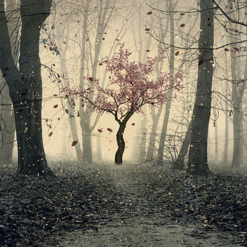 tree by puppet-soul