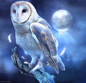 Night Guard by puppet-soul Night Guard by puppet-soul
