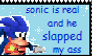 sonic is real and he slapped my ass stamp