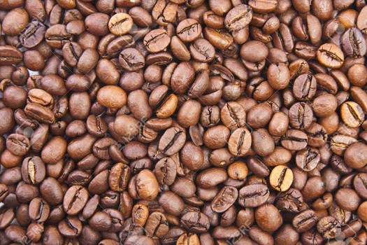 Best Rated Cafe grains at cheap rate