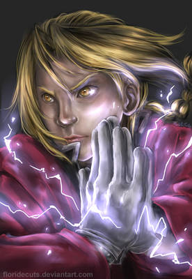 The Fullmetal Alchemist (2)