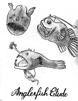 Anglerfish Etude