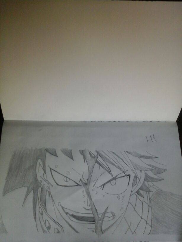 Natsu and Gajeel