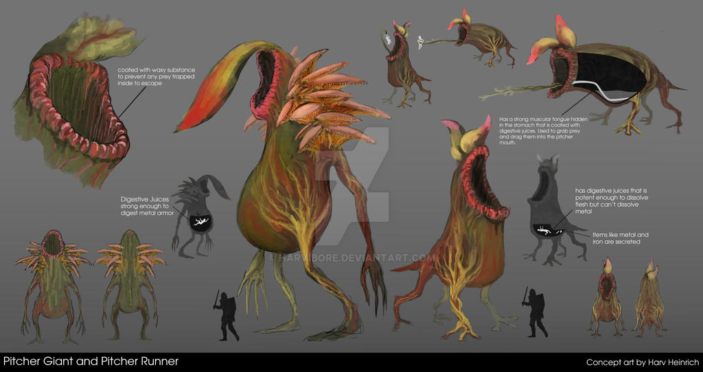 Pitcher Character concept by Harvibore on DeviantArt
