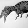 Austroraptor