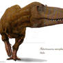 Albertosaurus Sacrophagus male.