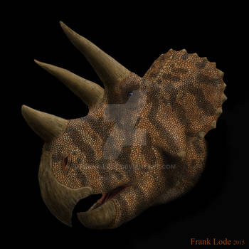 Triceratops. by Frank-Lode