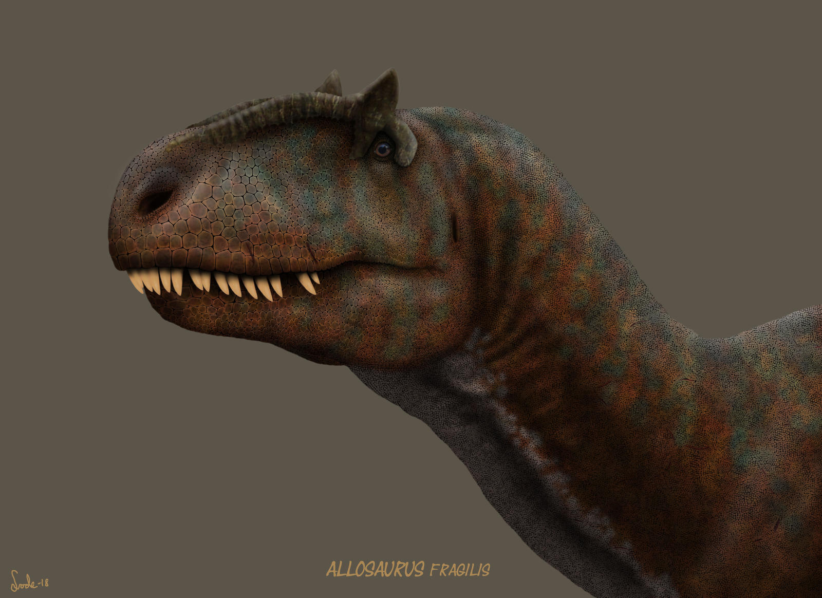 Allosaurus Fragilis By Frank Lode On DeviantArt allosaurus-fragilis-by-frank-lode-on-deviantart