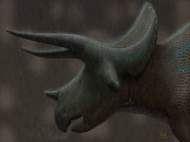 Triceratops in the rain.