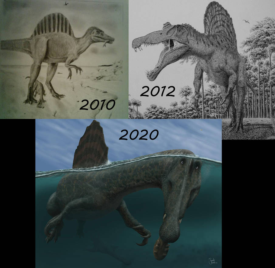 Drawing evolution of Spinosaurus 2010 to 2020. by FrankLode on