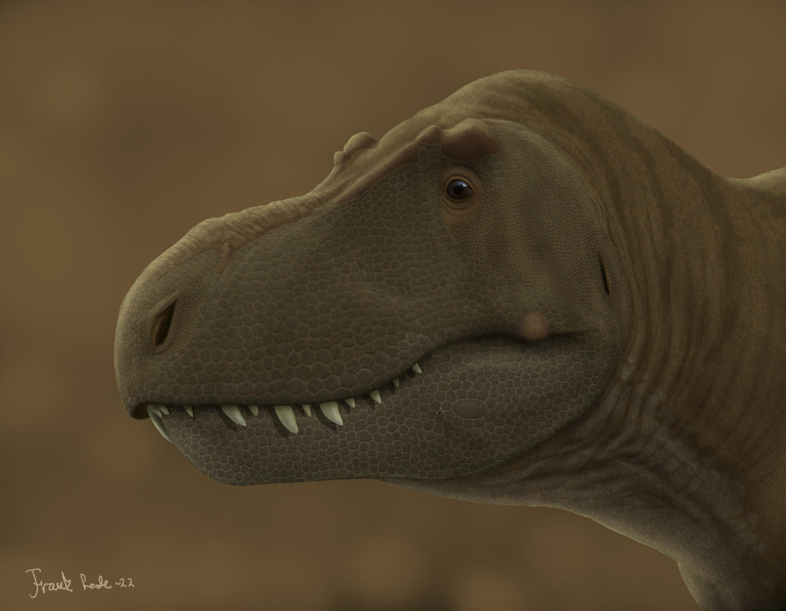 Tyrannosaurus rex Stan. by Frank-Lode on DeviantArt