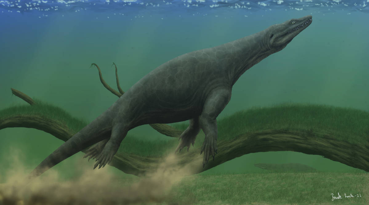 Simosaurus gaillardoti. by Frank-Lode on DeviantArt