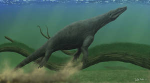Simosaurus gaillardoti.