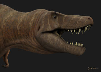 Tyrannosaurus rex. CM 9380.