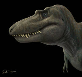 Gorgosaurus libratus.