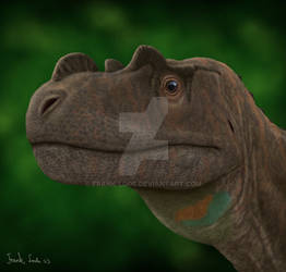 Ceratosaurus.