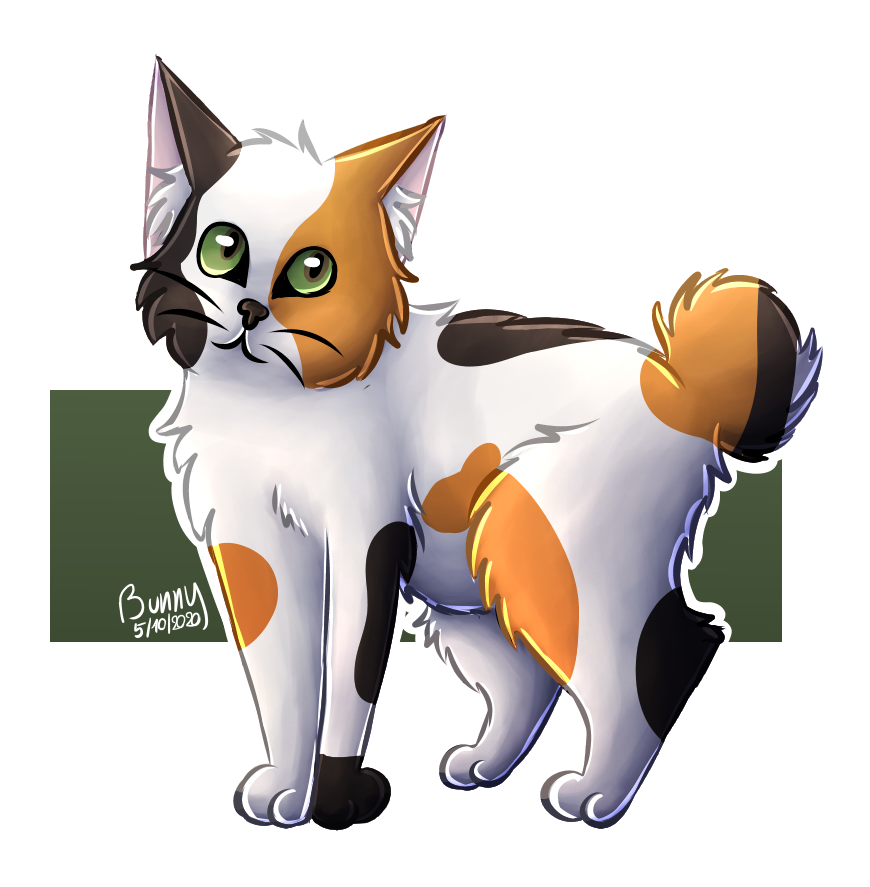 Calico by BunnyDrawsCats on DeviantArt