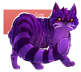 Purple Kitty