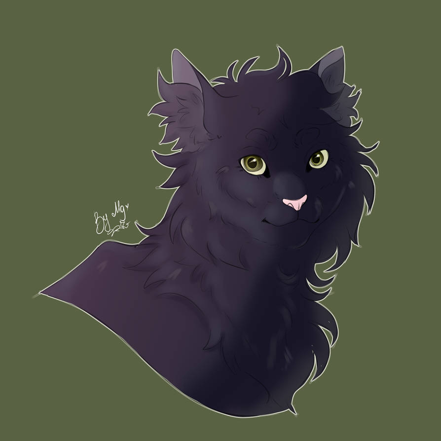 Hollyleaf Warrior Cats Fanart By Marshmallotheredfox On Deviantart Hollyleaf Warrior Cats Fanart By Marshmallotheredfox On Deviantart