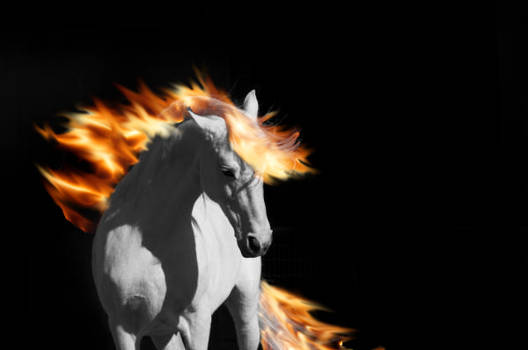 Flaming Steed