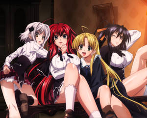 The Girls of High School DxD