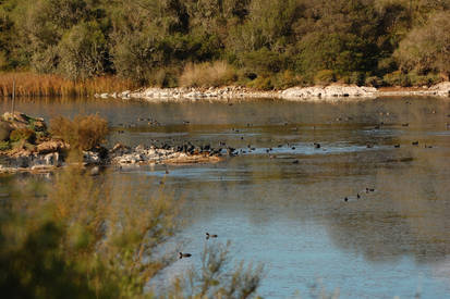 Albufera del Grau