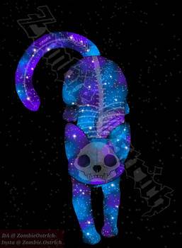Skeleton Galaxy Cat