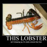 Halloween Lobster