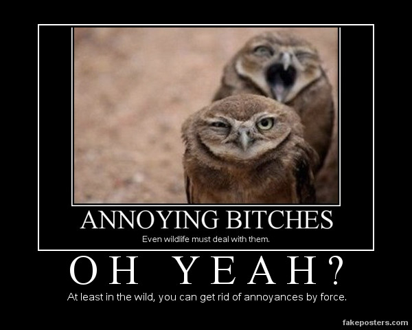 Owls Annoying Bitches