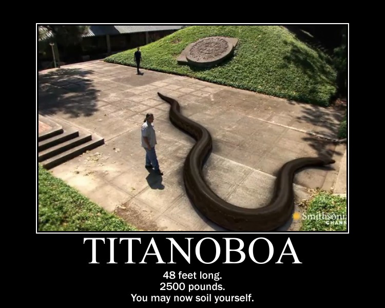 Titanoboa