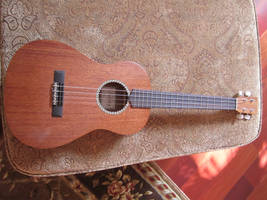 Baritone Ukulele Stock