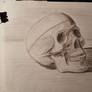 skull sketch (sepia dark oil on textured paper)