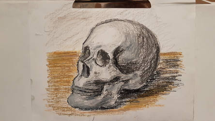 skull sketch(oil pastel)