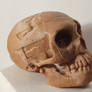 3d-printed neanderthal skull