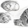 pencil sketches 2