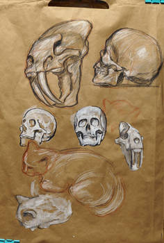 Some fast sketches 05 april 2024