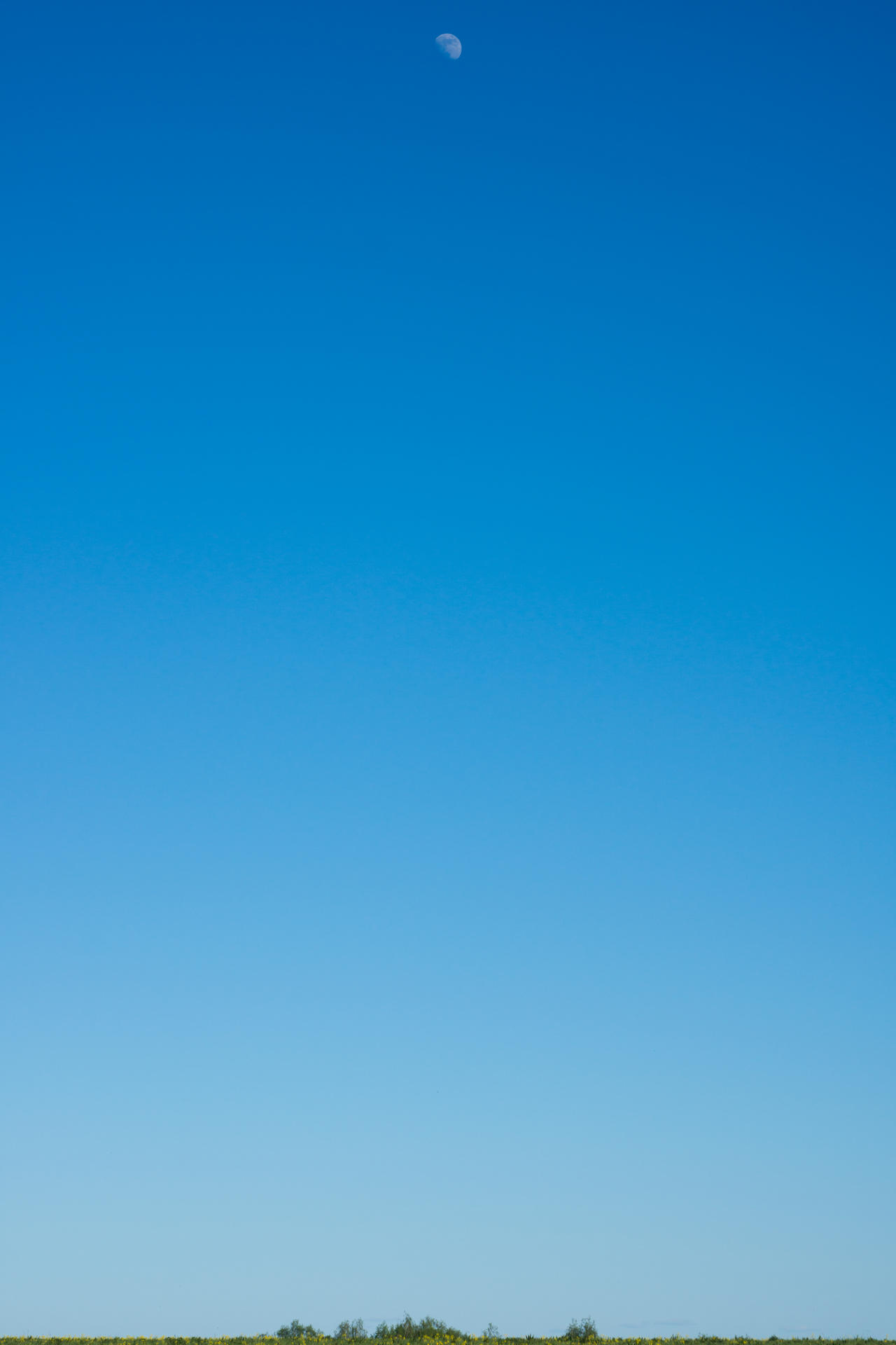 18 may 2024 moon in the spring sky