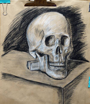 Skull study 12 july 2024