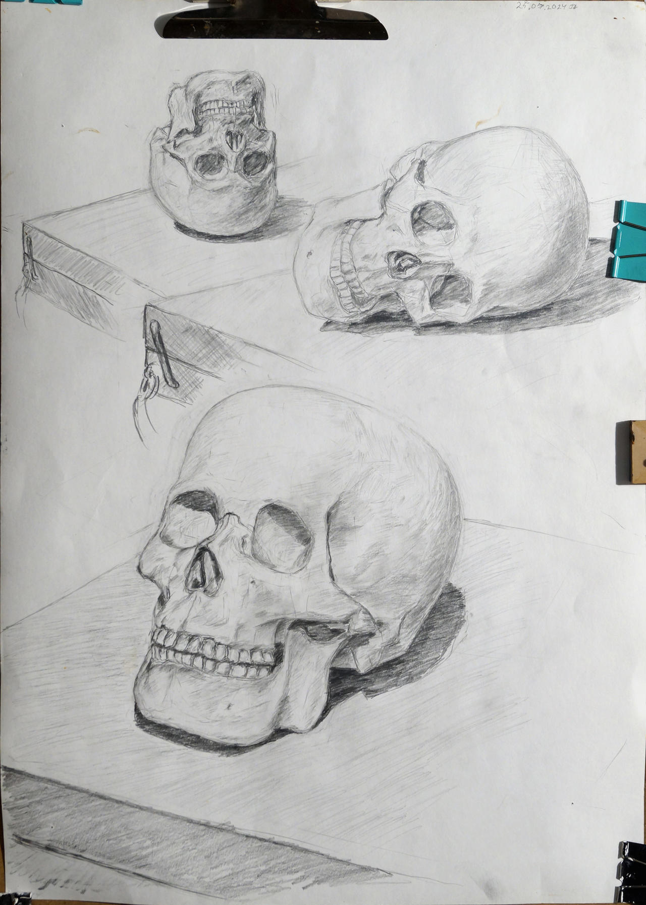 Skull study 25 july 2024