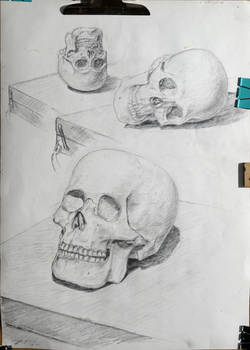 Skull study 25 july 2024