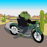 The toad on the road-vector version