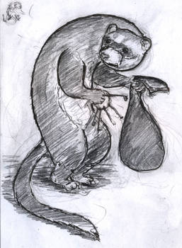 The ferret thief (preliminary sketch)