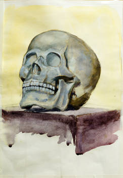 Skull watercolor and gouache study