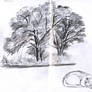 Daily sketches 19 September 2026