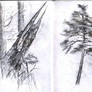 Daily sketches 02 October 2026