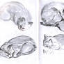 Daily sketches 02 October 2026 2