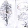 Daily sketches 10 October 2026