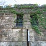 Old Jail - Vines 5