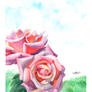 Watercolour Roses